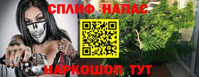 индика Донской