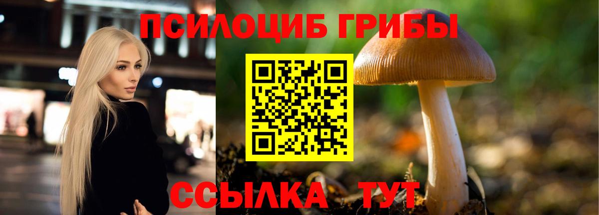 Галлюциногенные грибы Magic Shrooms  Вход с VPN  Избербаш 